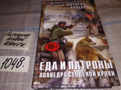 Лот: 16940260. Фото: 1. Мичурин Артем; Хватов Вячеслав... Художественная