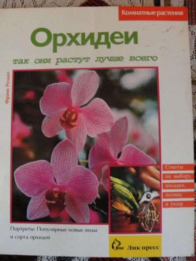 Лот: 4380548. Фото: 1. Орхидеи. Так они растут лучше... Домашние животные
