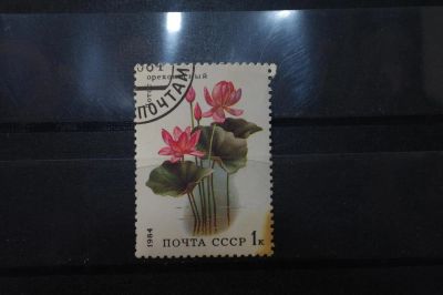 Лот: 3991903. Фото: 1. марки СССР 4 Лотос орехоносный... Марки