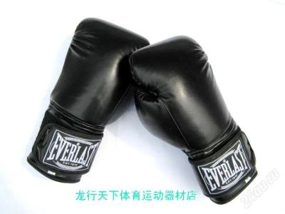 Лот: 1710893. Фото: 1. Everlast. Одежда для боевых искусств