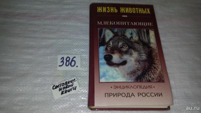 Лот: 9437367. Фото: 1. Млекопитающие. Часть 1, Игорь... Познавательная литература