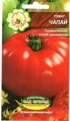 Лот: 7470314. Фото: 1. Рассада помидор Чапай. Овощи