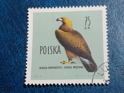 Лот: 25510666. Фото: 1. - Марки для Вашей коллекции. лот... Марки