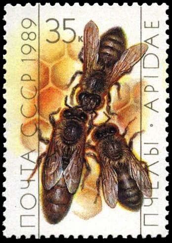 Лот: 9417767. Фото: 1. СССР 1989 год. Пчеловодство. Пчёлы... Марки