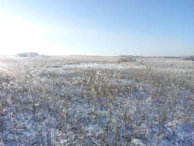 Лот: 10003472. Фото: 1. дачный участок. Земельные участки