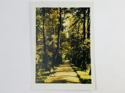 Лот: 23297157. Фото: 1. Пушкин. Аллея Екатерининского... Открытки, конверты