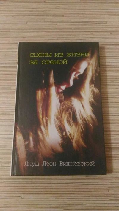Лот: 7892455. Фото: 1. Книга "Сцены из жизни за стеной... Другое (литература, книги)