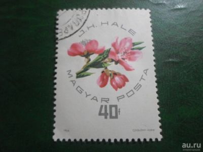 Лот: 18520724. Фото: 1. Марка для Вашей коллекции. №48482. Марки