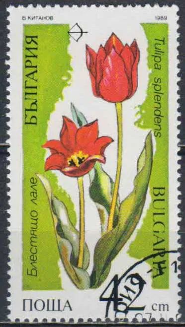 Лот: 25124504. Фото: 1. 1989. Болгария. Растения, находящиеся... Марки