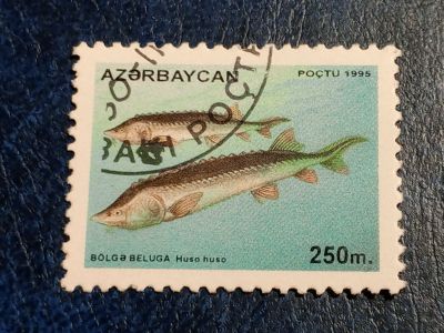 Лот: 25551167. Фото: 1. - Марки для Вашей коллекции. лот... Марки