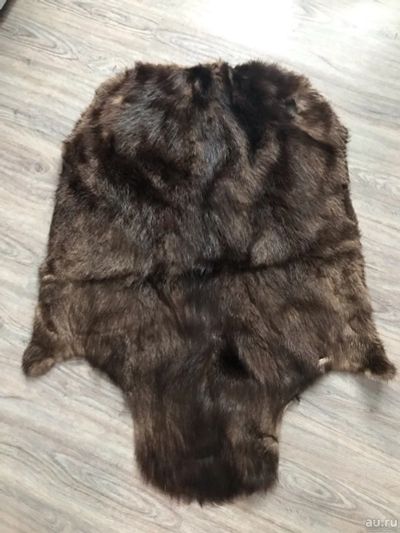 Лот: 17040389. Фото: 1. Шкура бобра выделанная. Чучела животных, рога, шкуры