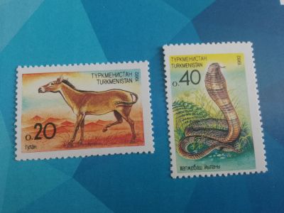 Лот: 19171600. Фото: 1. 1992 г, Туркменистан, фауна, кобра... Марки