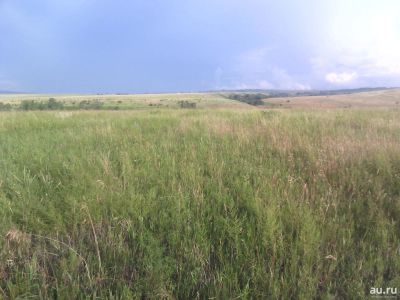 Лот: 13209153. Фото: 1. участок, березовка. Земельные участки