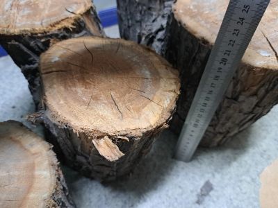 Лот: 20023743. Фото: 1. Чурки ракетки для самоделок. Материалы для ручной работы