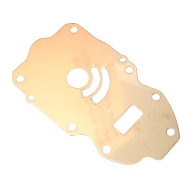 Лот: 21366035. Фото: 1. Пластина помпы охлаждения Yamaha... Запчасти для лодок, катеров, лодочных моторов