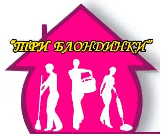 Лот: 8573913. Фото: 1. Клининговая компания. Другое (готовый бизнес)