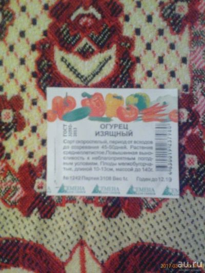 Лот: 9386525. Фото: 1. Семена огурец изящный. Овощи