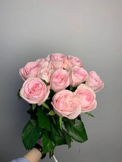 Лот: 25524386. Фото: 1. 8. Букет из 11 роз быстрые торги. Свежие цветы