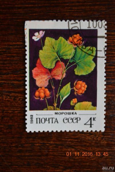 Лот: 8475965. Фото: 1. Марка СССР 1982г. Дикорастущие... Марки