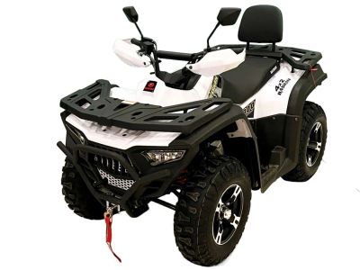 Лот: 25800768. Фото: 1. Квадроцикл BASHAN Explorer 300... Снегоходы, квадроциклы