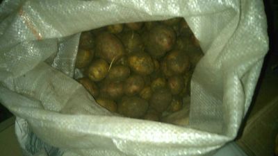 Лот: 11057441. Фото: 1. Картошка 200р ведро. Вкусная крупная... Картофель