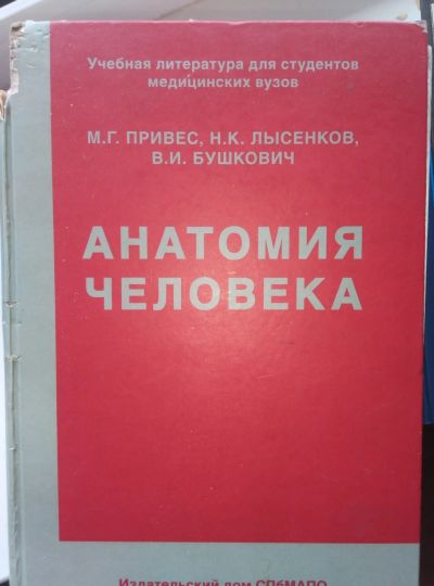 Лот: 13973728. Фото: 1. Привес Анатомия человека. Традиционная медицина