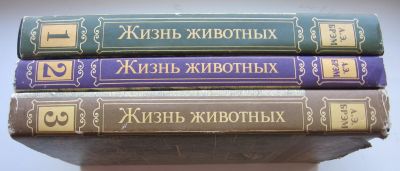 Лот: 18957560. Фото: 1. Брэм Альфред. Жизнь животных в... Книги