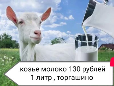 Лот: 20226133. Фото: 1. Молоко Козье. Молоко и молочные продукты