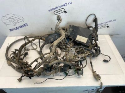Лот: 22460186. Фото: 1. проводка подкапотная Ford Focus... Другое (автозапчасти)