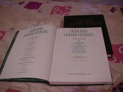 Лот: 1570276. Фото: 1. Жизнь животных. Энциклопедии