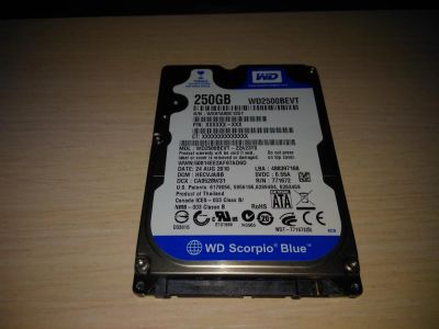 Лот: 9810434. Фото: 1. Жесткий диск WD Blue 250gb Размер... Жёсткие диски (HDD)