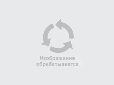 Лот: 4351984. Фото: 1. Дефлектор на капот (защита,спойлер... Детали тюнинга