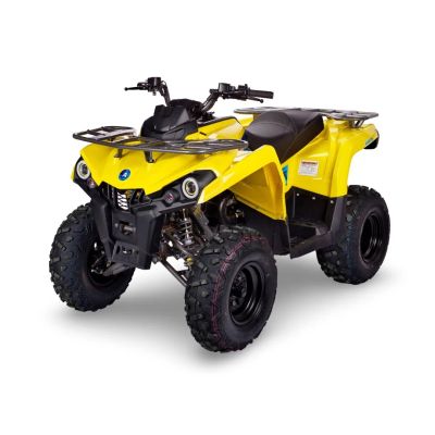 Лот: 25547300. Фото: 1. Квадроцикл Avantis Forester Long... Снегоходы, квадроциклы