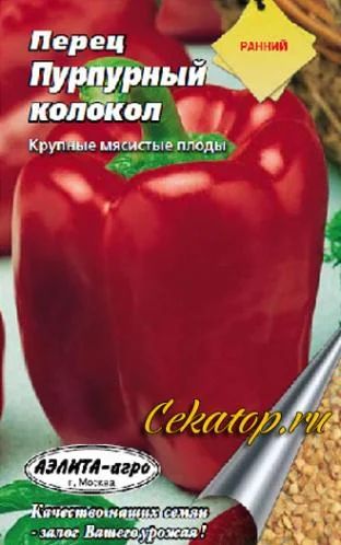 Лот: 3991037. Фото: 1. Перец Пурпурный колокол (рассада... Другое (семена, рассада, садовые растения)