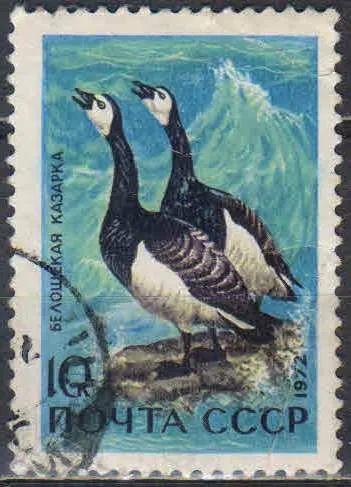 Лот: 25199217. Фото: 1. 1972, январь. Фауна. Водоплавающие... Марки