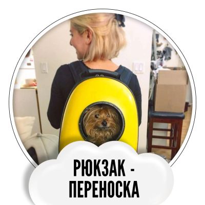 Лот: 11926385. Фото: 1. Рюкзак - переноска для животных... Домики, переноски, клетки, когтеточки