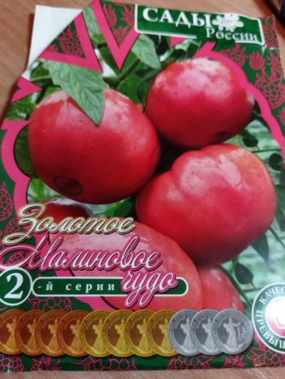 Лот: 17504563. Фото: 1. Томаты (рассада) отличные сорта... Овощи