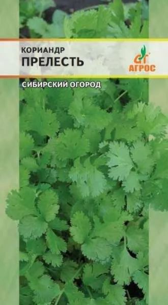 Лот: 11012472. Фото: 1. Кориандр Прелесть. Овощи