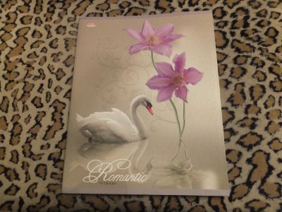 Лот: 4857157. Фото: 1. Тетрадь в клетку, 96 л., 006. Другое (учёба (школа, вуз))