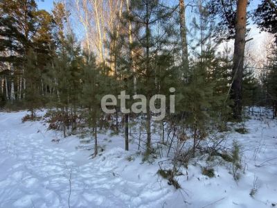 Лот: 25286286. Фото: 1. участок , Красноярск Красноярск... Земельные участки