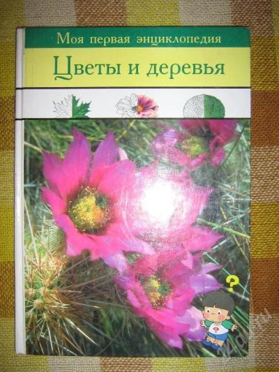 Лот: 23462. Фото: 1. Детская энциклопедия "Цветы и... Красноярск