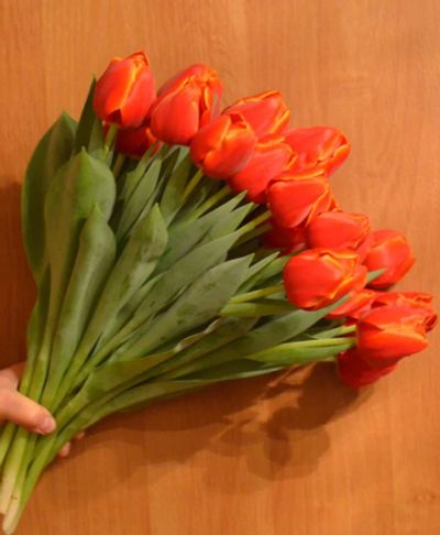 Лот: 16993333. Фото: 1. Тюльпаны оптом "Verandi" Красноярск... Свежие цветы