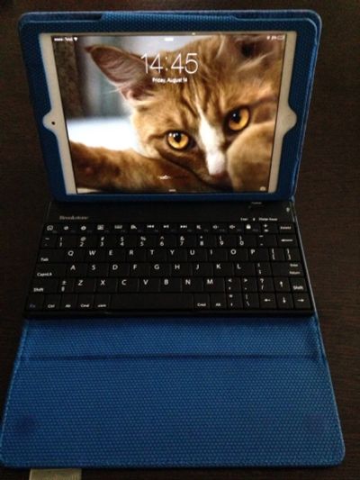 Лот: 5960921. Фото: 1. Ipad mini 3g wifi + чехол с клавиатурой. Планшеты
