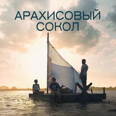 Лот: 24290304. Фото: 1. Арахисовый сокол. Видеозаписи, фильмы