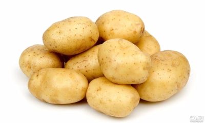Лот: 16481845. Фото: 1. Куплю картофель. Картофель