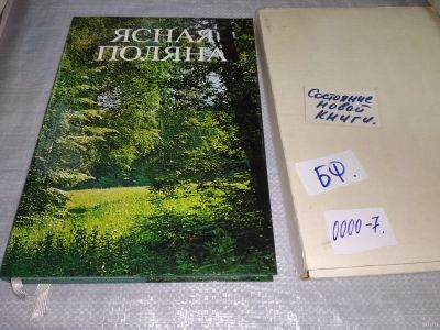 Лот: 18238852. Фото: 1. ред. Борисов, С. Ясная Поляна... Декоративно-прикладное искусство