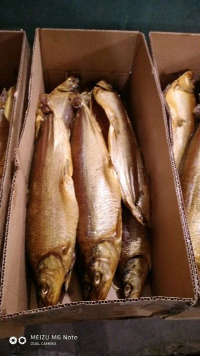 Лот: 14363883. Фото: 1. Муксун х/к. Икра, рыба, морепродукты