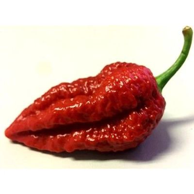 Лот: 13933912. Фото: 1. Семена Bhutlah Brown. Конкурент... Овощи