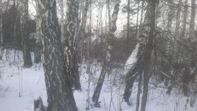Лот: 4919331. Фото: 1. Продам участок в мкр Чистый с... Земельные участки