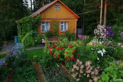 Лот: 20298948. Фото: 1. Куплю дачу в Октябрьском районе. Дачи
